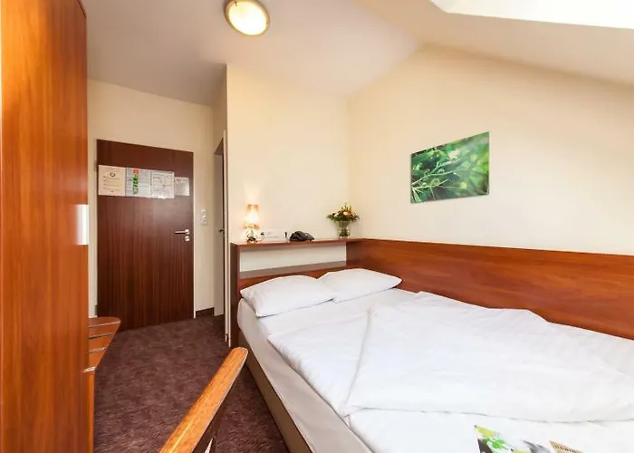 Stadtzentrum Hotel 3*